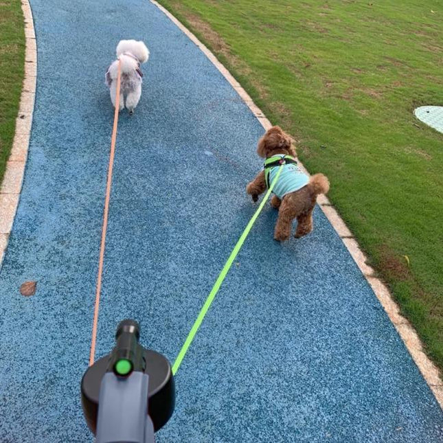 Tangle-Free Retractable Double Dog Leash for 2 Dogs – Dual Head Leash with LED Flashlight & Waste Bag Dispenser – No-Twist Leash for Small & Medium Dogs like Golden Retriever, Husky, Doberman, French Bulldog, Corgi, Dachshund, Pomeranian-Vsj