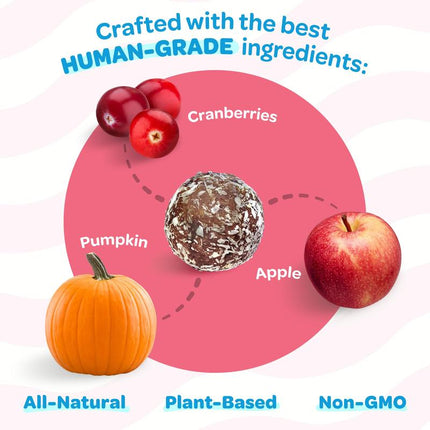Treat-A-Balls Dog Training Treats - Healthy Low Calorie Treats for Small to Large Dogs - Vegan Snacks - 18 Treats - Cranberry, Apple, Pumpkin Coated