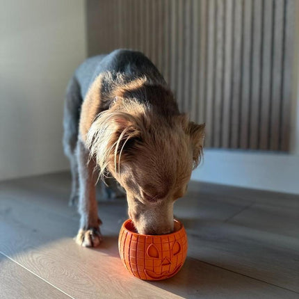 Freezpumpkin Limited Halloween Edition Dog Toy