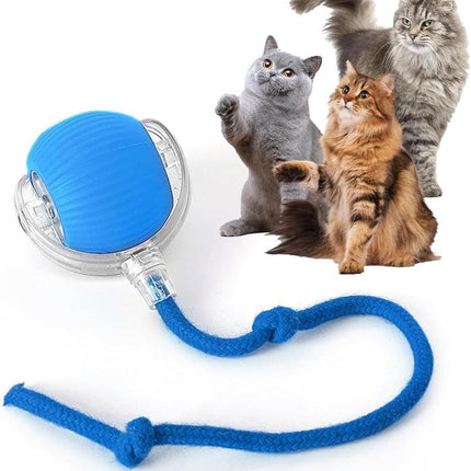 Upgraded Version 2025 Intelligent Interactive Electric Cat Toy Ball Indoor - Automatic Wake-Up Function, Automatic Rolling, Super Avoiding Sensitive Obstacles, Releasing Unlimited Cat Entertainment (Blue)
