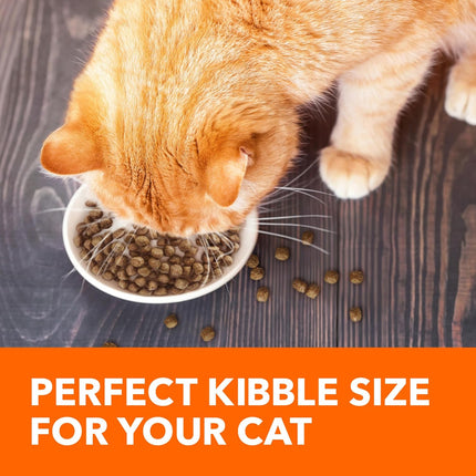 Proactive Health Adult Healthy Dry Cat Food with Real Salmon, 7 Lb. Bag